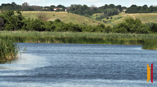В селе Введенка Воронежской области утонул 54-летний мужчина