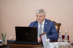 Губернатор Александр Гусев: работа по поддержке беженцев в Воронежской области будет продолжена