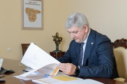 Концепцию преобразования воронежских Костенок представили губернатору