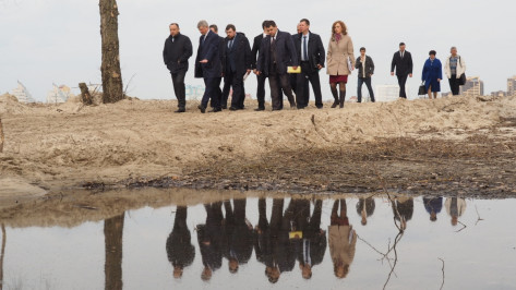 Конкурс на разработку концепции Петровской набережной в Воронеже проведут в 2018 году