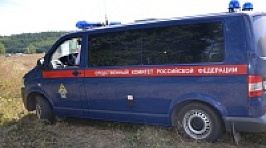 По делу об убийстве школьницы в Павловске силовики задержали 20-летнего местного жителя