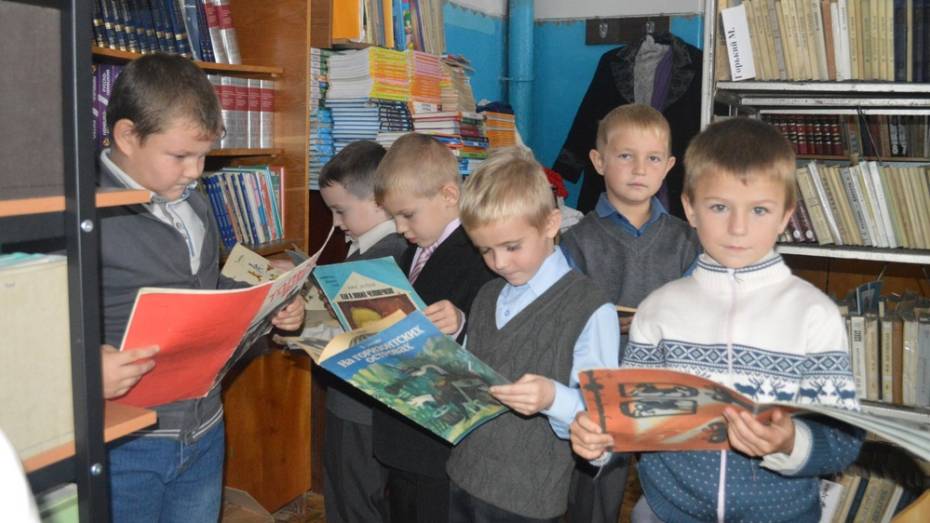 В Нижнедевицком районе отпраздновали день библиотек
