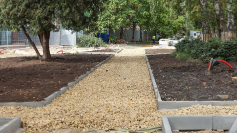 Воронежцам показали ход благоустройства улицы Карла Маркса