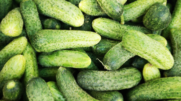 Цены на огурцы взлетели в Воронежской области