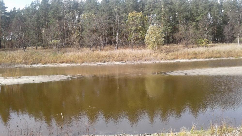 Обмелело озеро Ульяновское в Воронежской области
