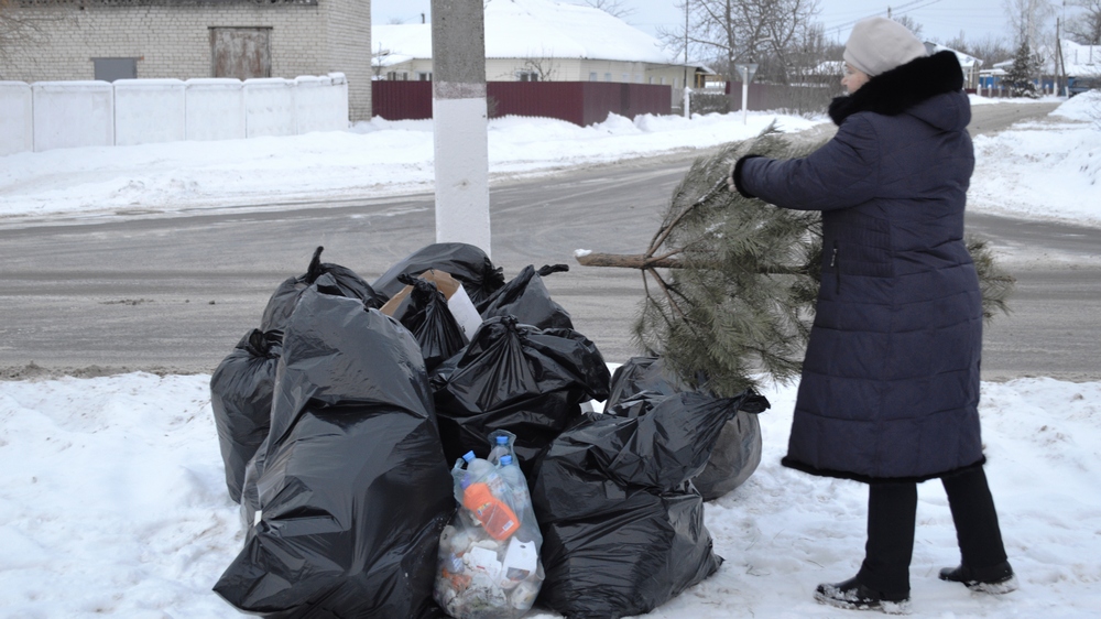 В Репьевке, Скорицком и Колбинском сельпоселениях пока мусор оставляют в условленных местах