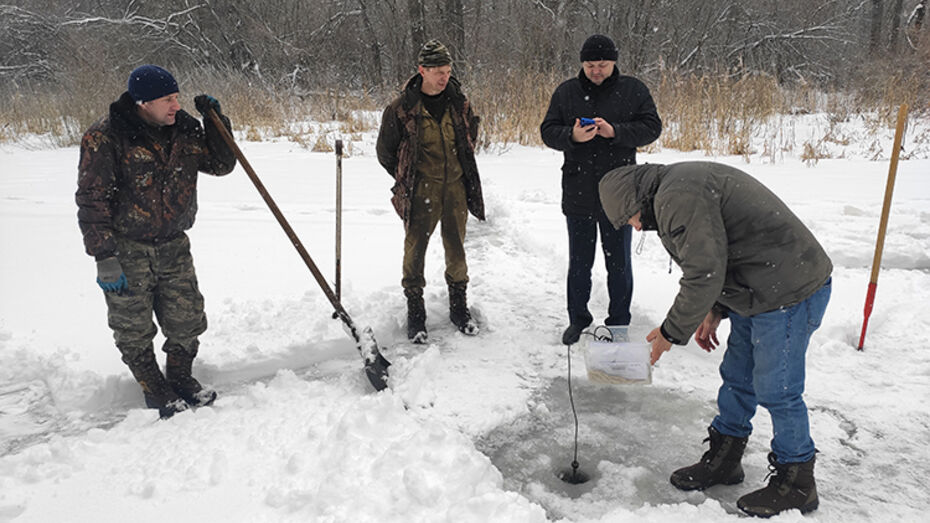 Воронежский природный биосферный заповедник имени Пескова (из архива)