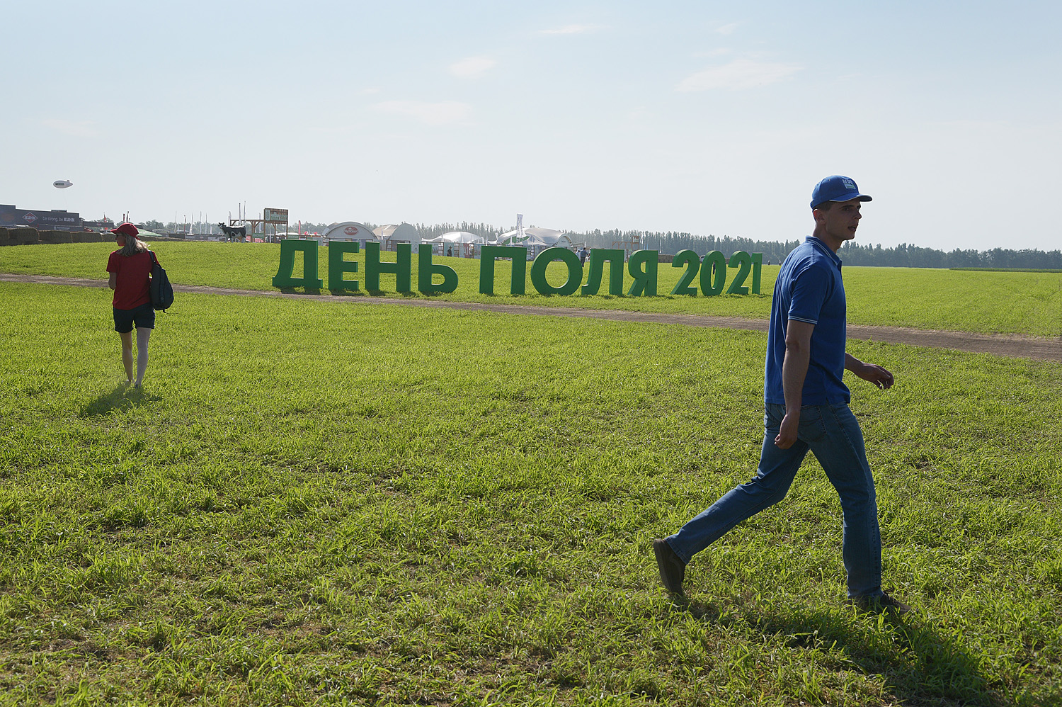 Поля Воронежской области