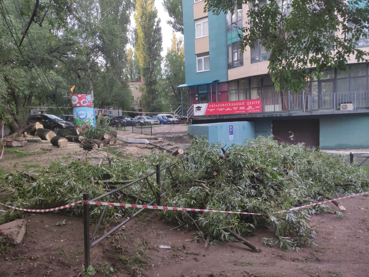 Нет воды воронеж сегодня почему. Столб упал Воронеж. Дерево упало на провода. В Воронеже упал столб на/левом берегу. Столб в воде в Воронеже.