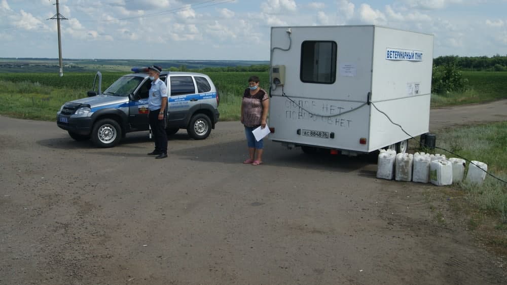 Ветеринарный пункт на въезде в зону заражения АЧС. Фото – Алексей Бардаков