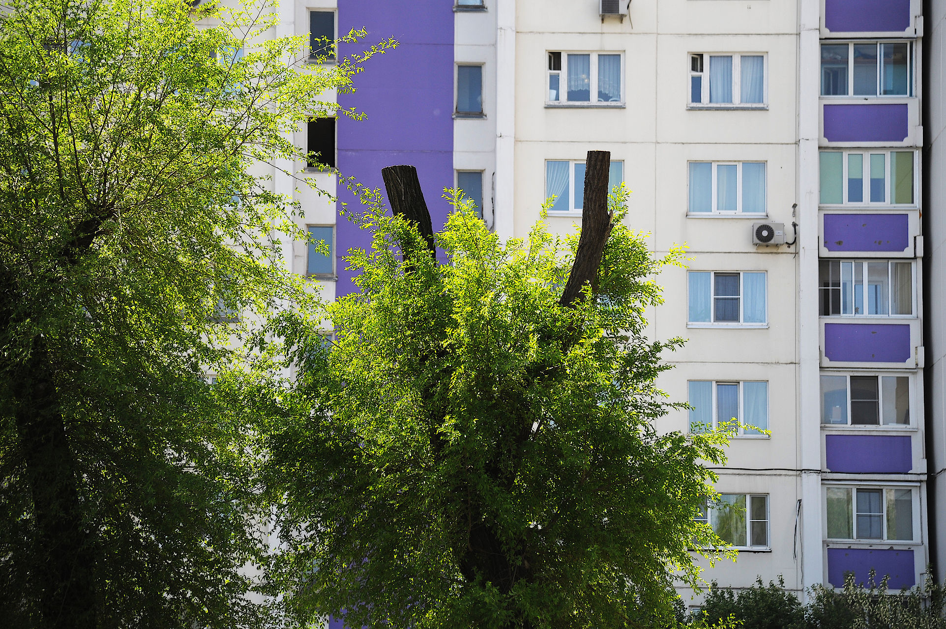 фото – Андрей Архипов