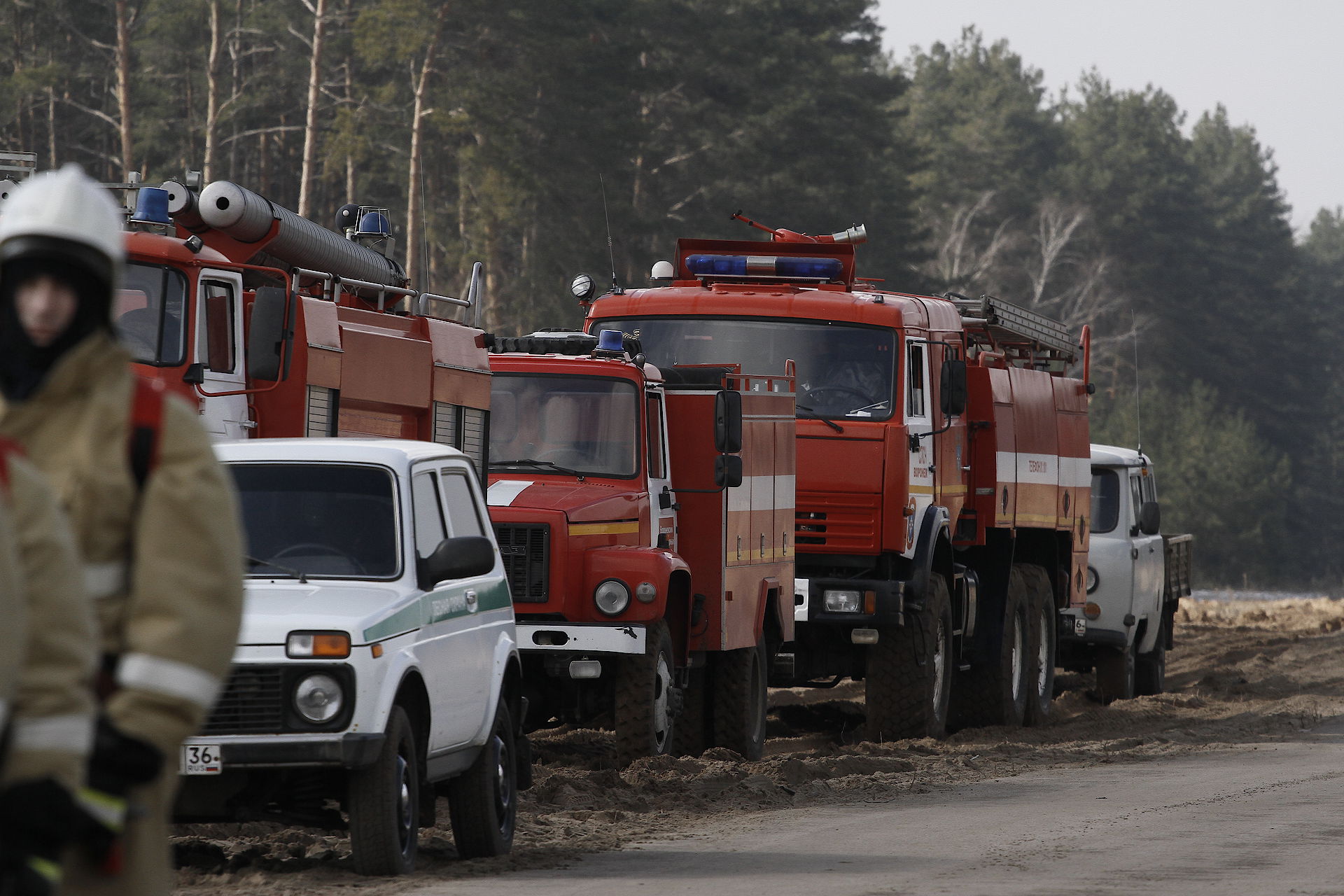 Пожарную опасность максимального уровня зафиксировали в Воронеже