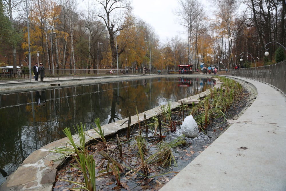 Очистили пруд в воронежском Центральном парке