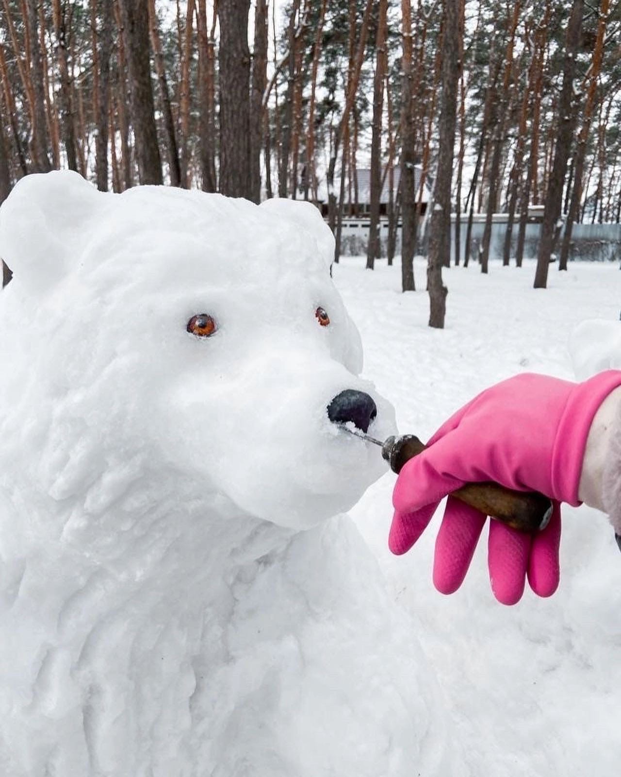 Семья «снежных медведей» завелась в Воронеже