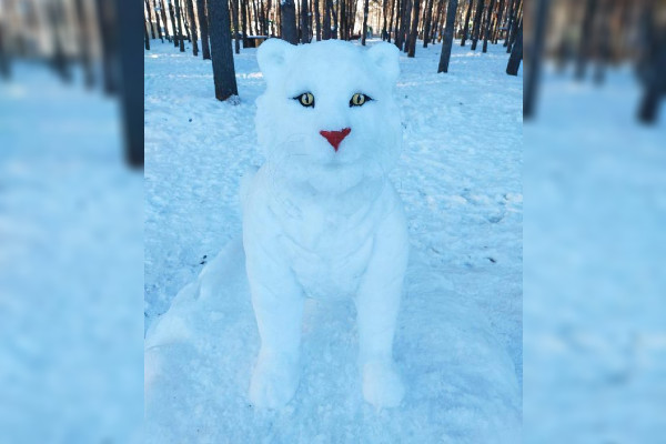 Отреставрированный снежный тигр в парке «Дельфин» в Воронеже