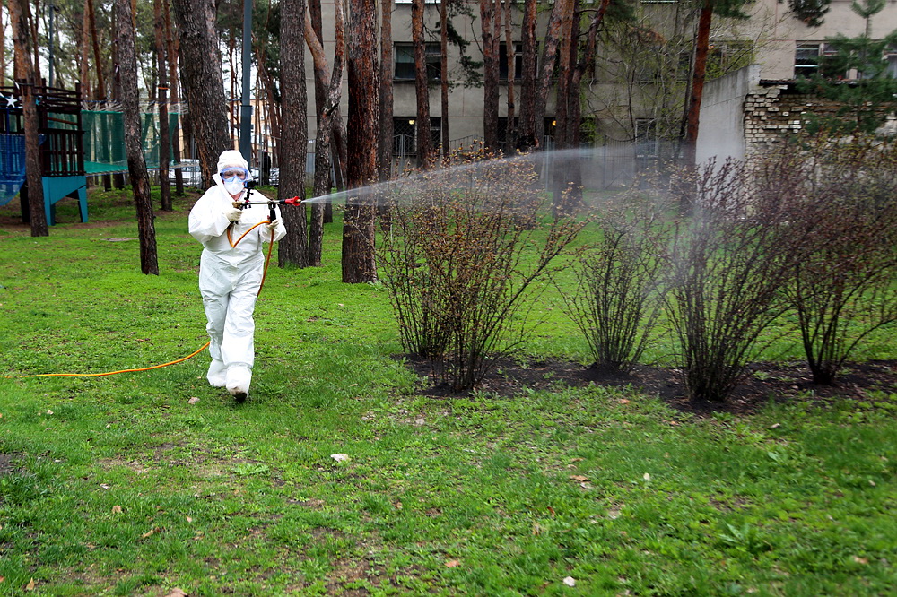 Парки и скверы Воронежа обрабатывают от клещей и комаров