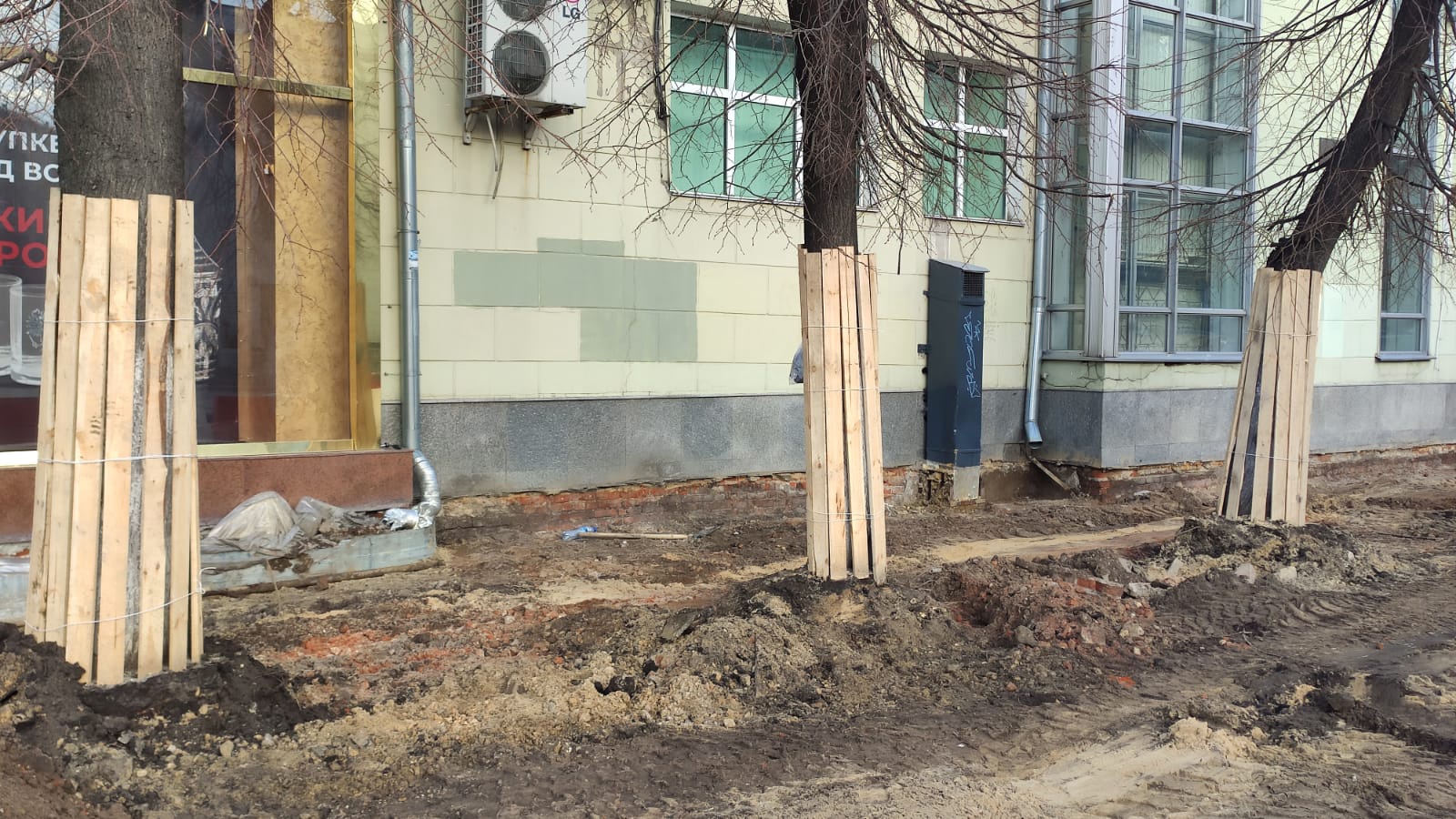 Защита деревьев на проспекте Революции в Воронеже