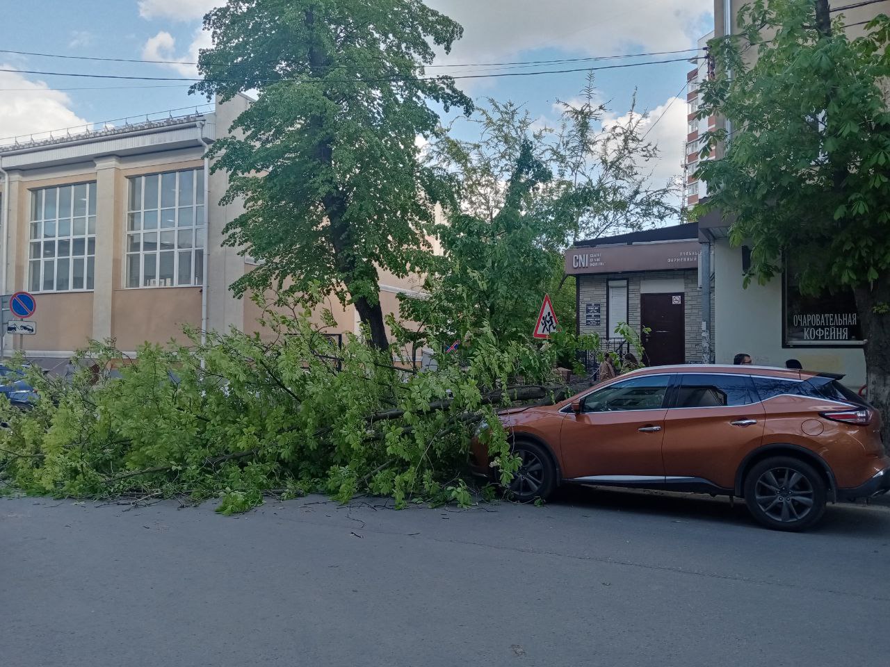 R13 воронеж. Дерево упало на машину Воронеж. Деревья на машинах Воронеж.. Новости Воронежа дерево упало на джип. В Воронеже деревья свалило.