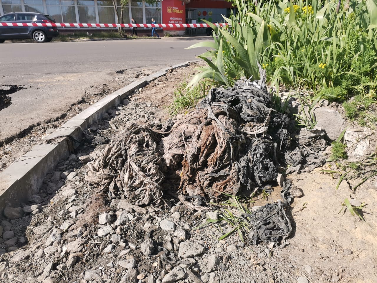 Последствия засора канализации в Воронеже