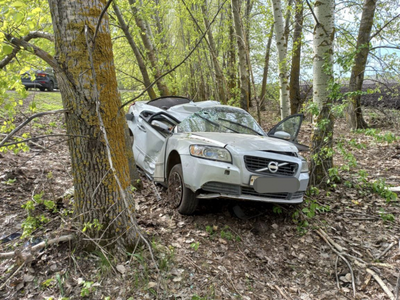 Volvo S40 врезался в дерево в Воронежской области: погибла пенсионерка