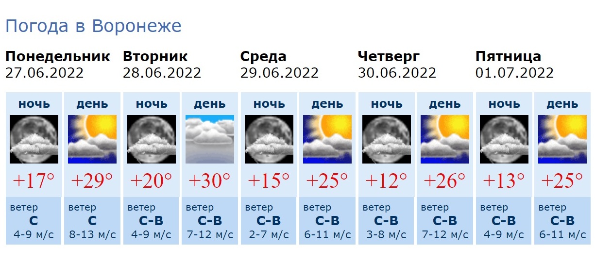 Прогноз погода 2024 январь месяц. Погода на 27 декабря. Гидрометцентр Воронеж. Какая погода будет 27 декабря. Погода на 27 июня.