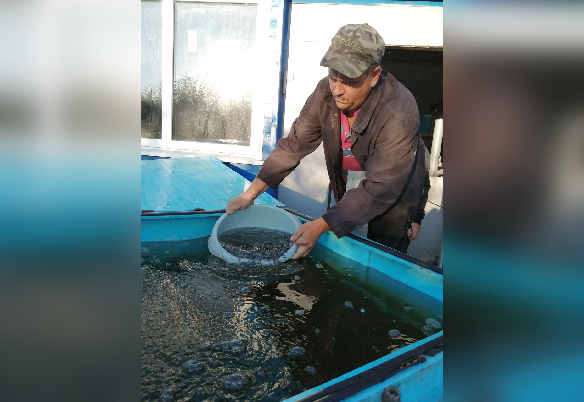 Более 175 тыс мальков стерляди выпустили в реку Дон в Воронежской области