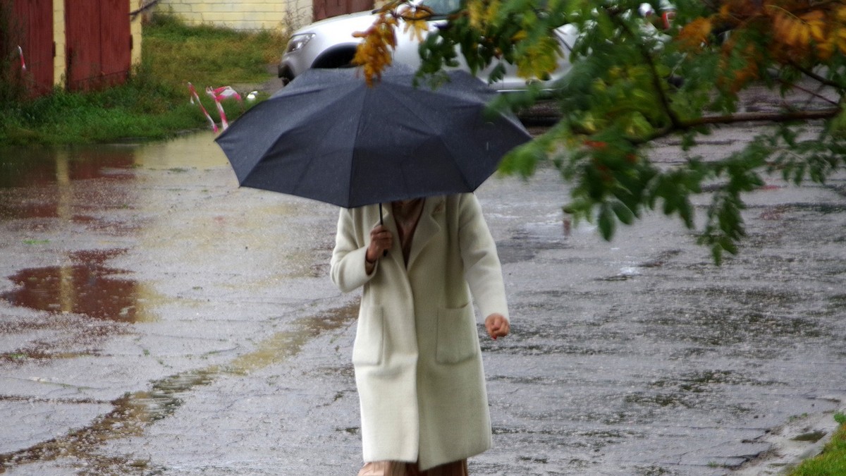 Похолодание в сентябре. Осень прохладно. Осень пришла в москву. Похолодание в сентябре. В москве похолодает.