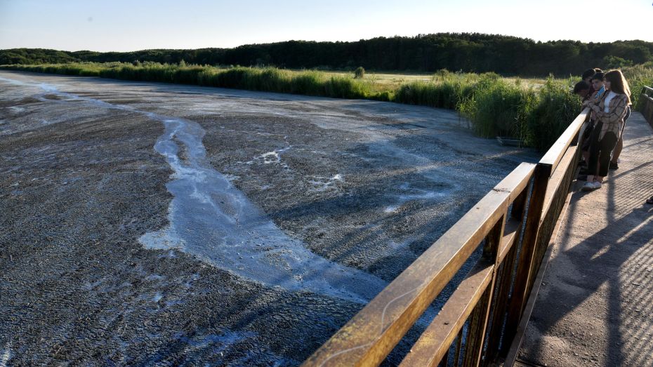 Михаил Кирьянов (из архива)