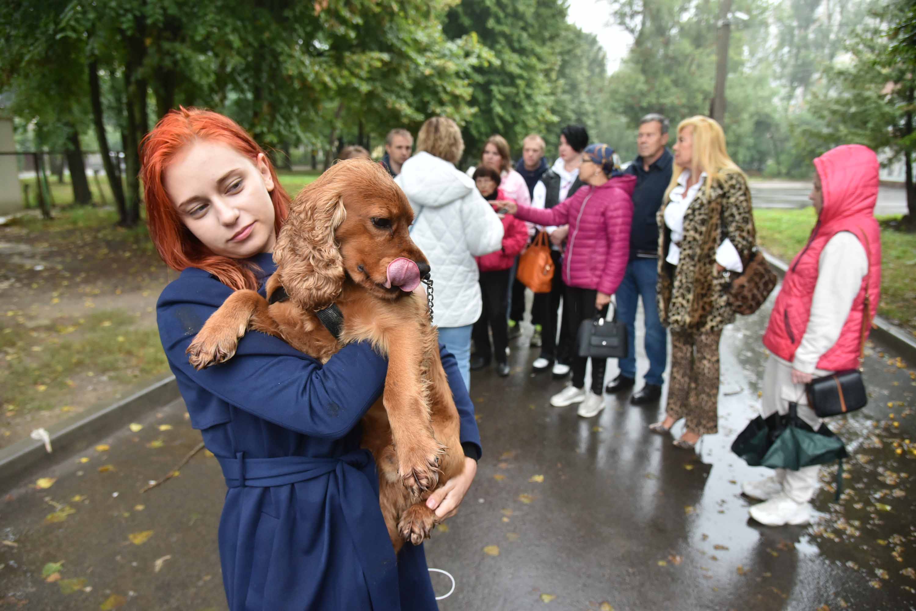 «Травила и буду травить!». Жители воронежского микрорайона борются с  местным догхантером