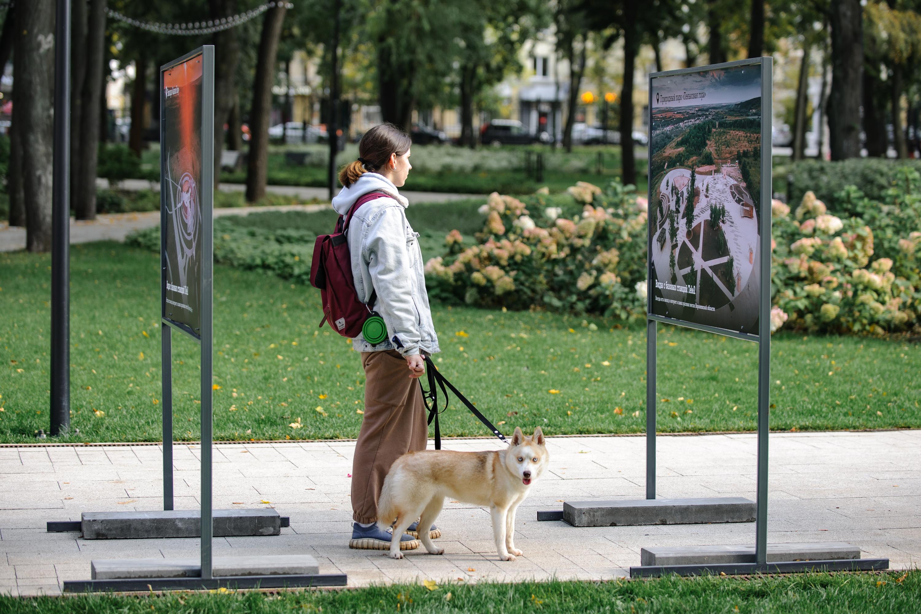 Ракурс кропоткин