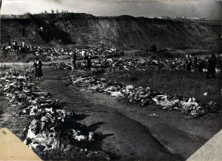 Извлеченные тела мирных жителей г. Воронежа, расстрелянных фашистами 27 августа 1942 г. в Песчаном Логу Извлеченные тела мирных жителей г. Воронежа, расстрелянных фашистами 27 августа 1942 г. в Песчаном Логу