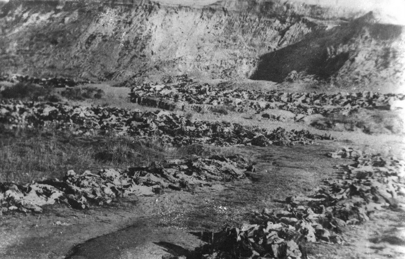 Извлеченные тела мирных жителей г. Воронежа, расстрелянных фашистами 27 августа 1942 г. в Песчаном Логу Извлеченные тела мирных жителей г. Воронежа, расстрелянных фашистами 27 августа 1942 г. в Песчаном Логу