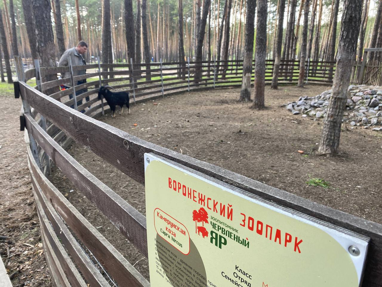 В Воронеже зоопитомник «Червленый Яр» закрыли для посетителей из-за  сильного ветра