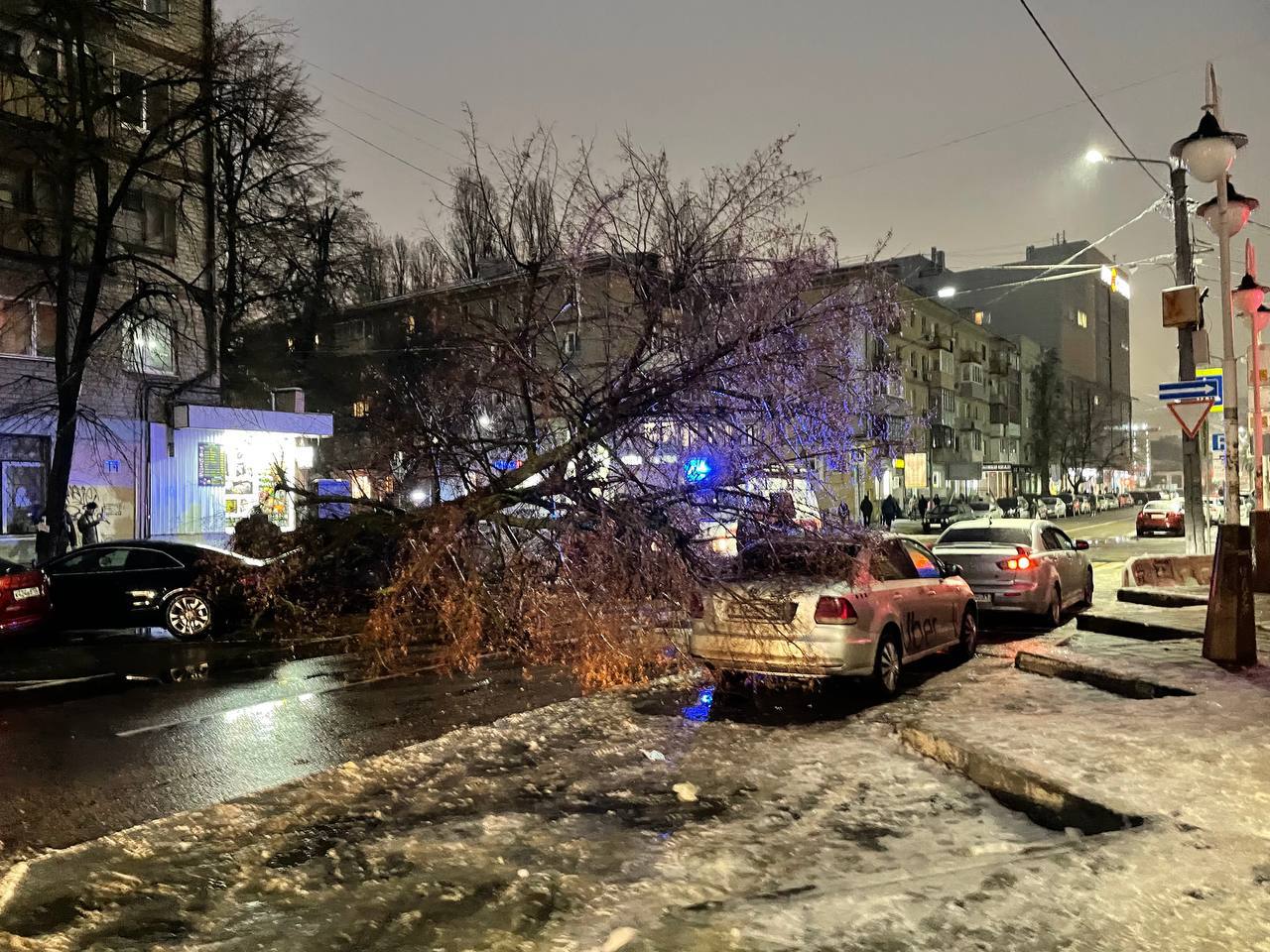 Момент падения дерева на улице Куколкина в Воронеже сняли на видео