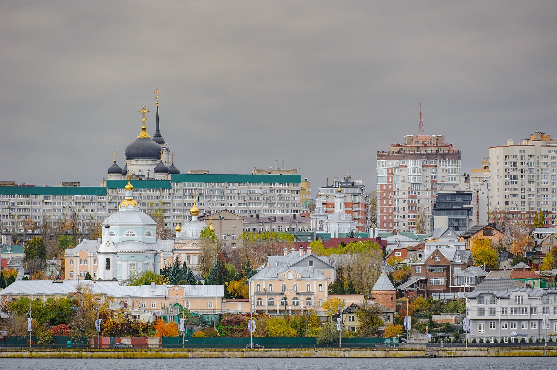 Итоги недели. Что важного произошло в Воронежской области и других регионах  с 9 по 15 октября