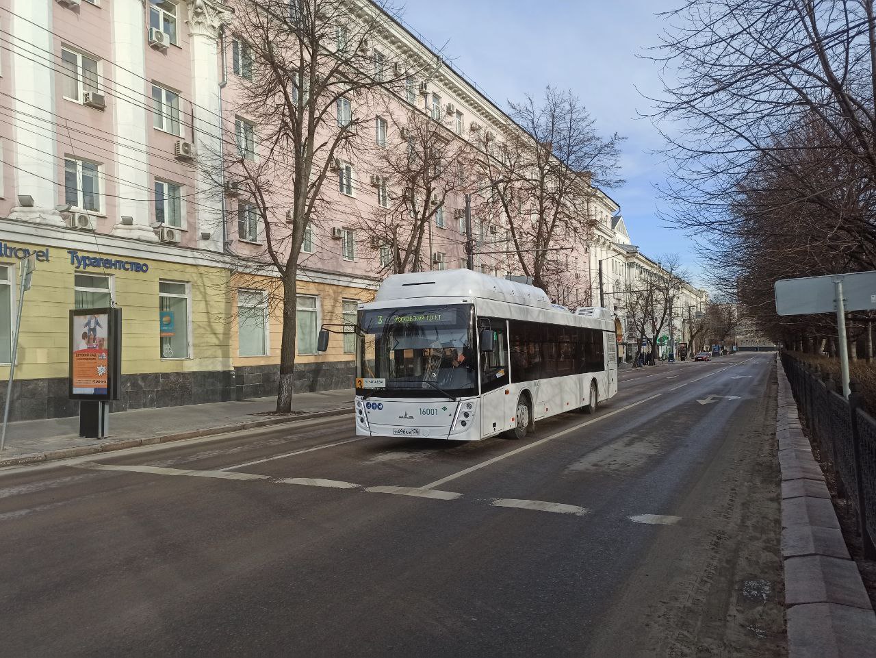 Новые большие автобусы вышли на востребованный маршрут в Воронеже