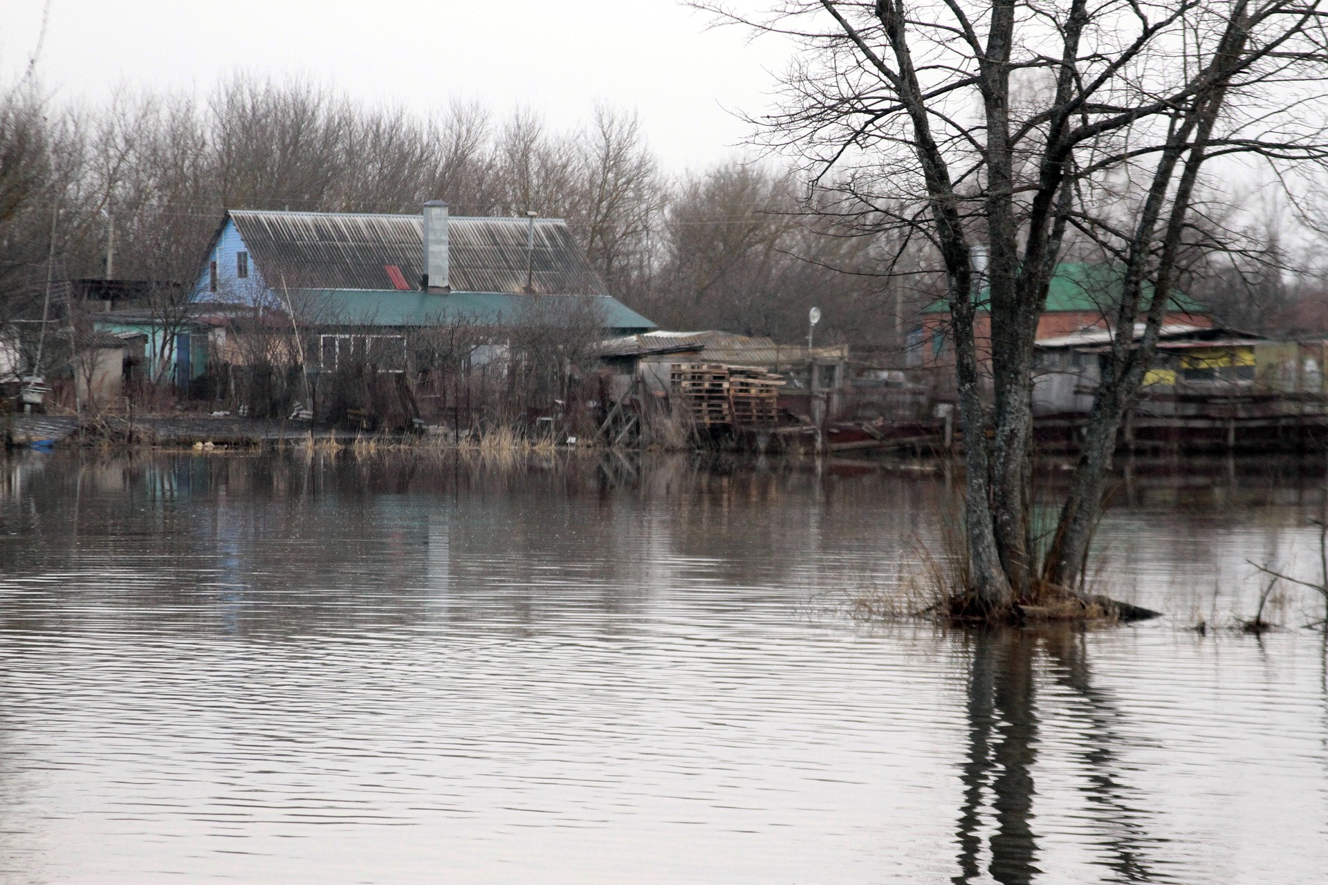 Синоптики дали прогноз на половодье в Воронежской области