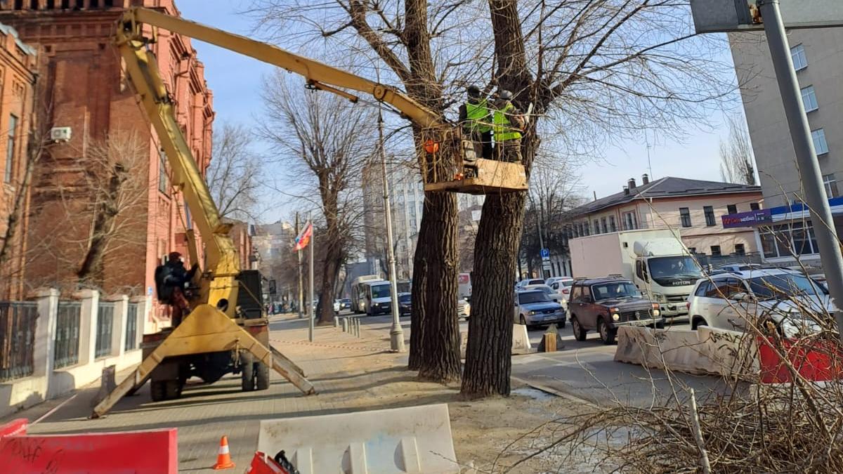 кафе династия воронеж. г. ресторан kinto воронеж. марриотт ресторан воронеж. гринхед воронеж бар проспект революции.