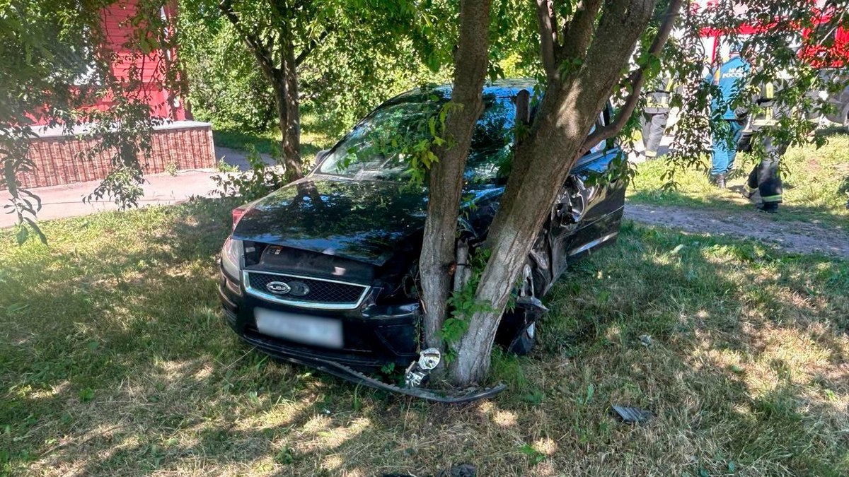 Женщина и 2 маленькие девочки пострадали в ДТП в Воронежской области