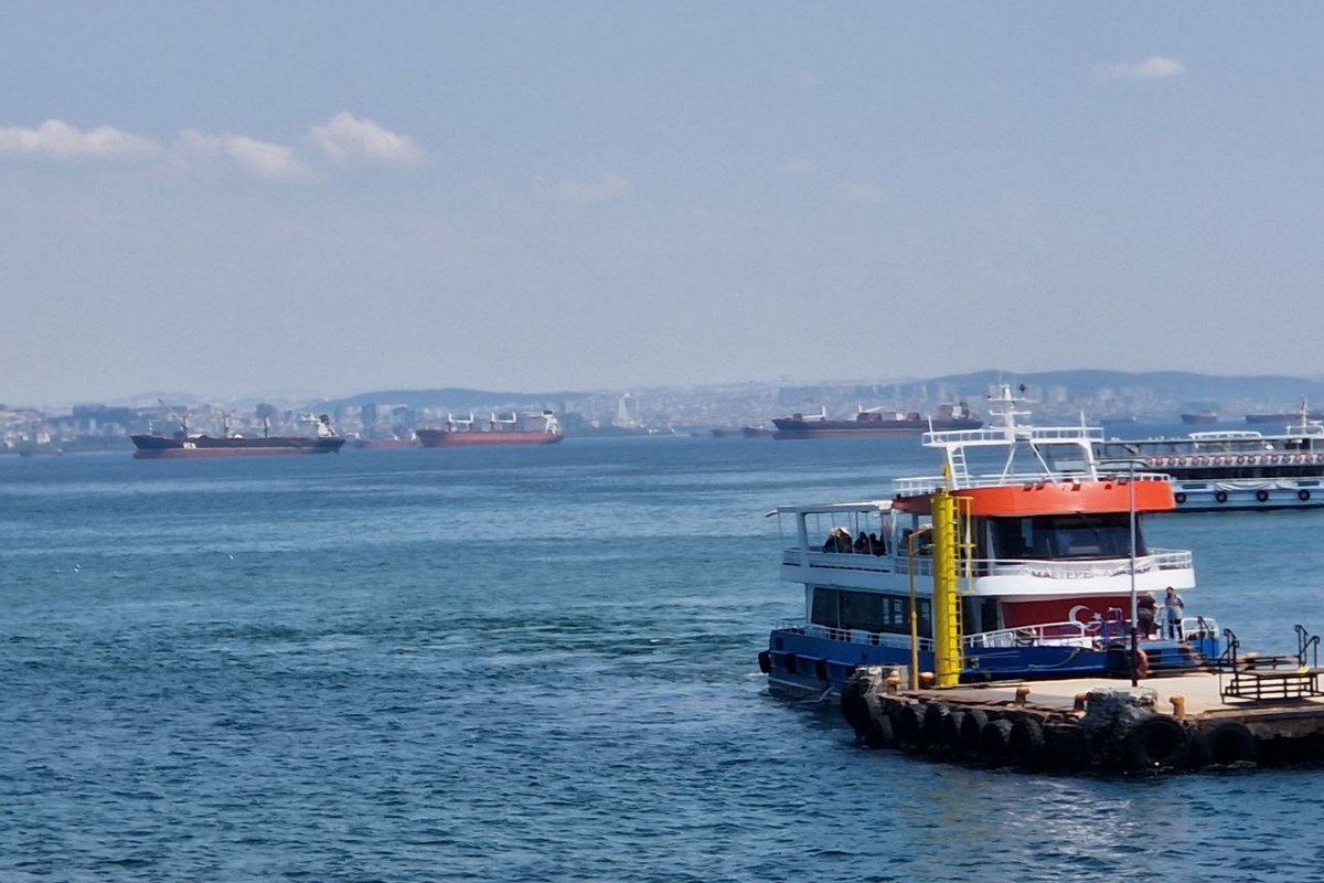 Корабли с воронежским зерном ждут отгрузки. Фото Сергея Агапова