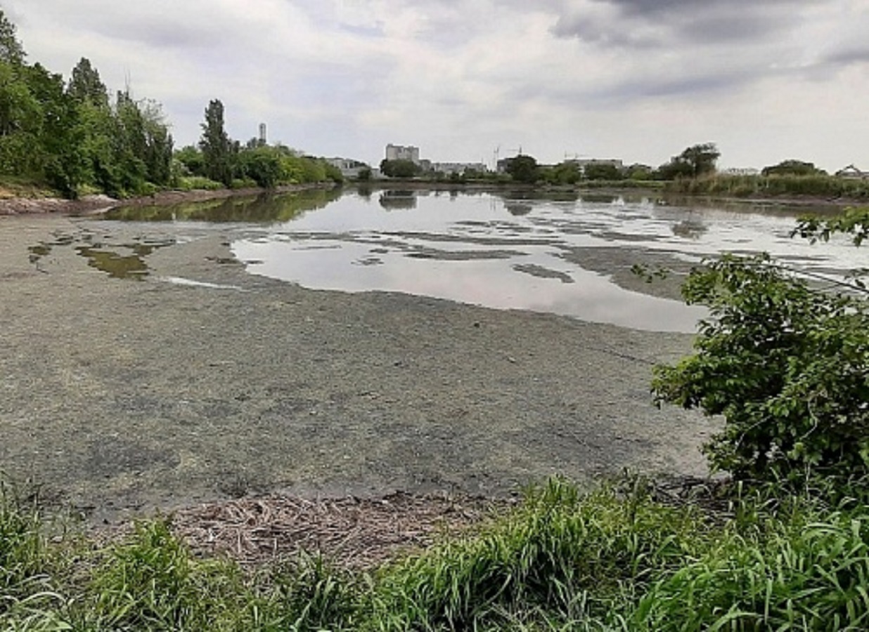 ЛОС выплатят 5,8 млрд рублей за ущерб Воронежскому водохранилищу