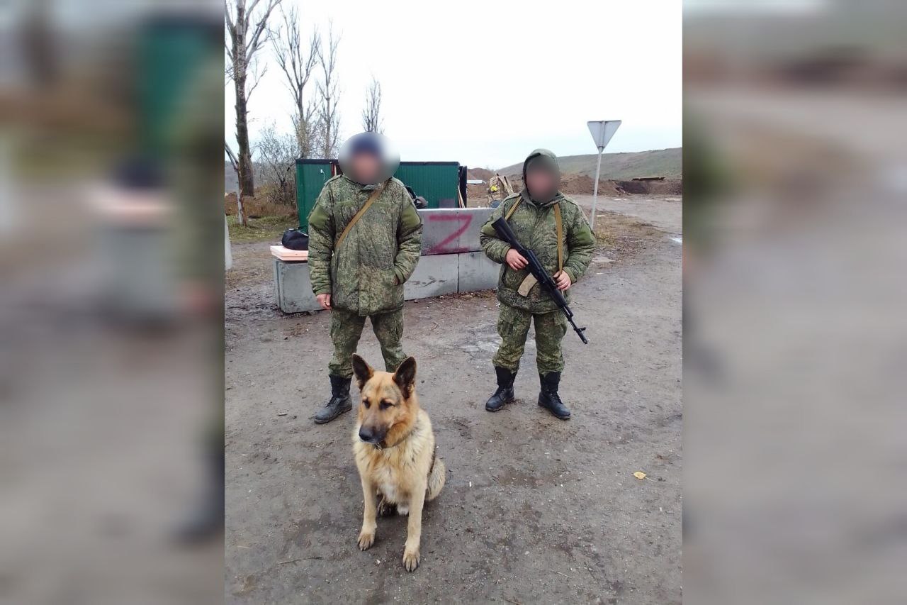 Вадим (справа) с сослуживцем и собакой Громом
