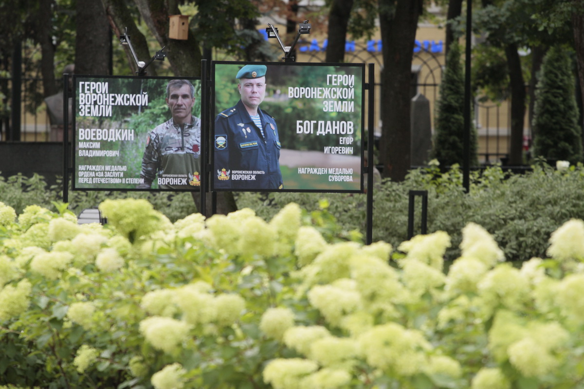 Стенды с фотографиями героев СВО появились в воронежском парке «Орленок»