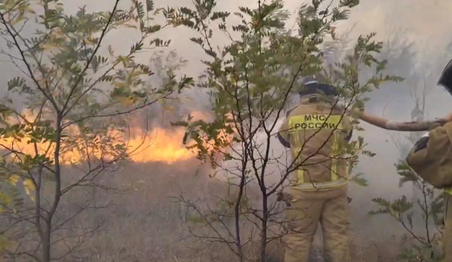 Пожар в семилукских выселках. Пожар в семилукских выселках. Пожар в лесу. Пожар в семилукских выселках. Пожар в семилукских выселках.