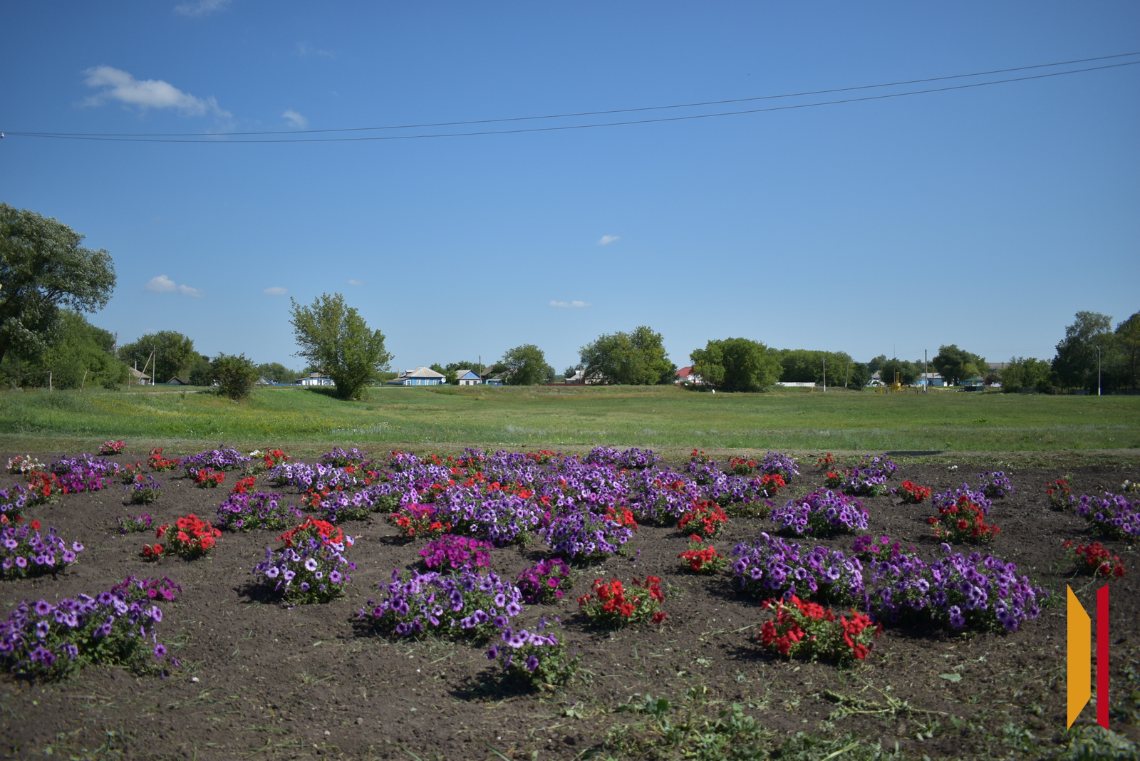 Так тосовцы украсили центр хутора Рыбный. Деньги на цветы передал местный житель и участник спецоперации Александр М.