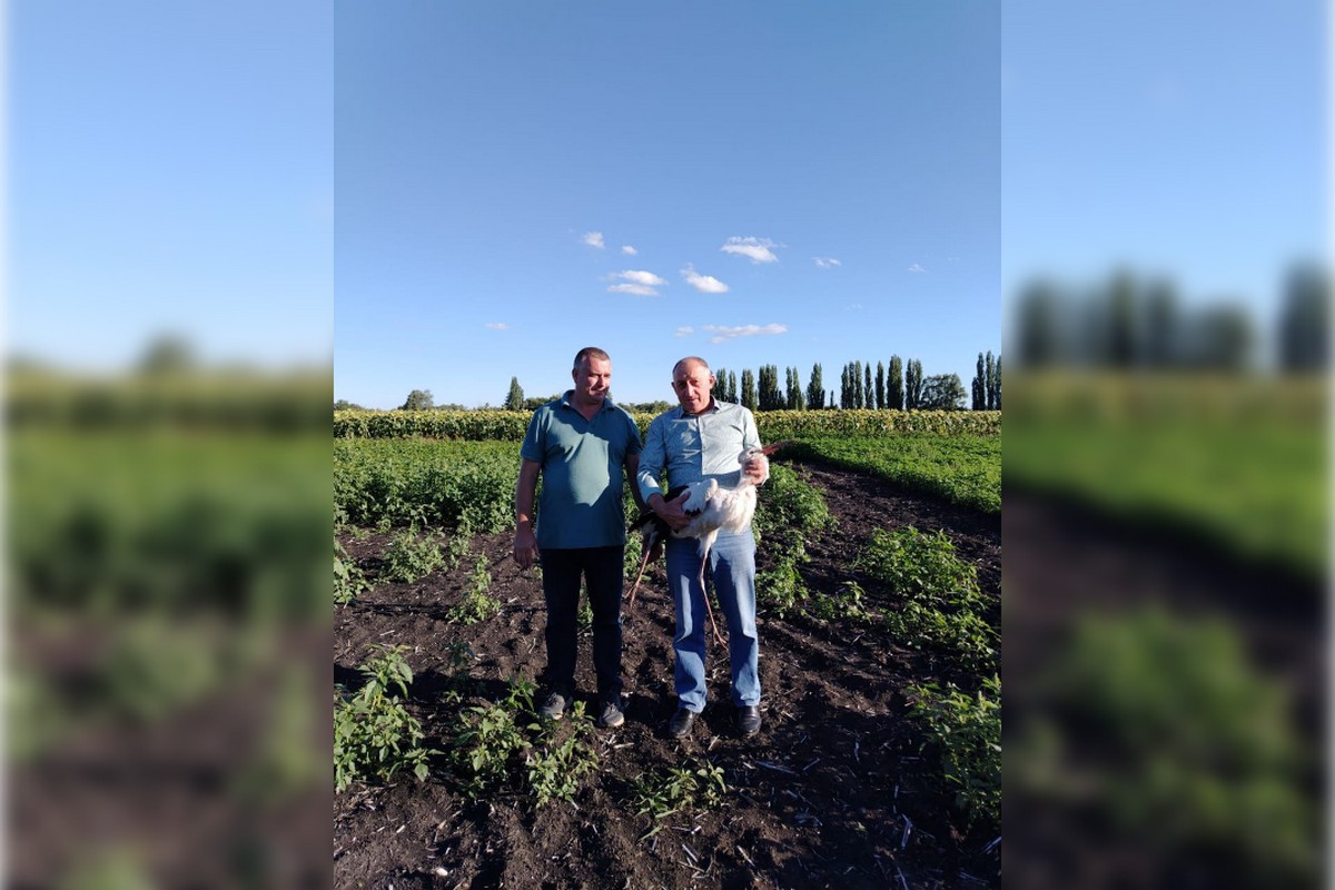 Александр Цыкалов (слева) и ветврач Александр Кузнецов