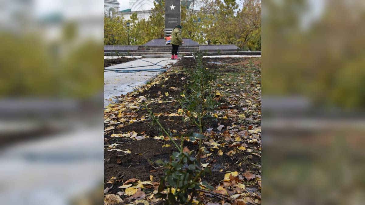 Фото – группа администрации Кантемировского района в соцсети, https://vk.com/kantem_vrn36