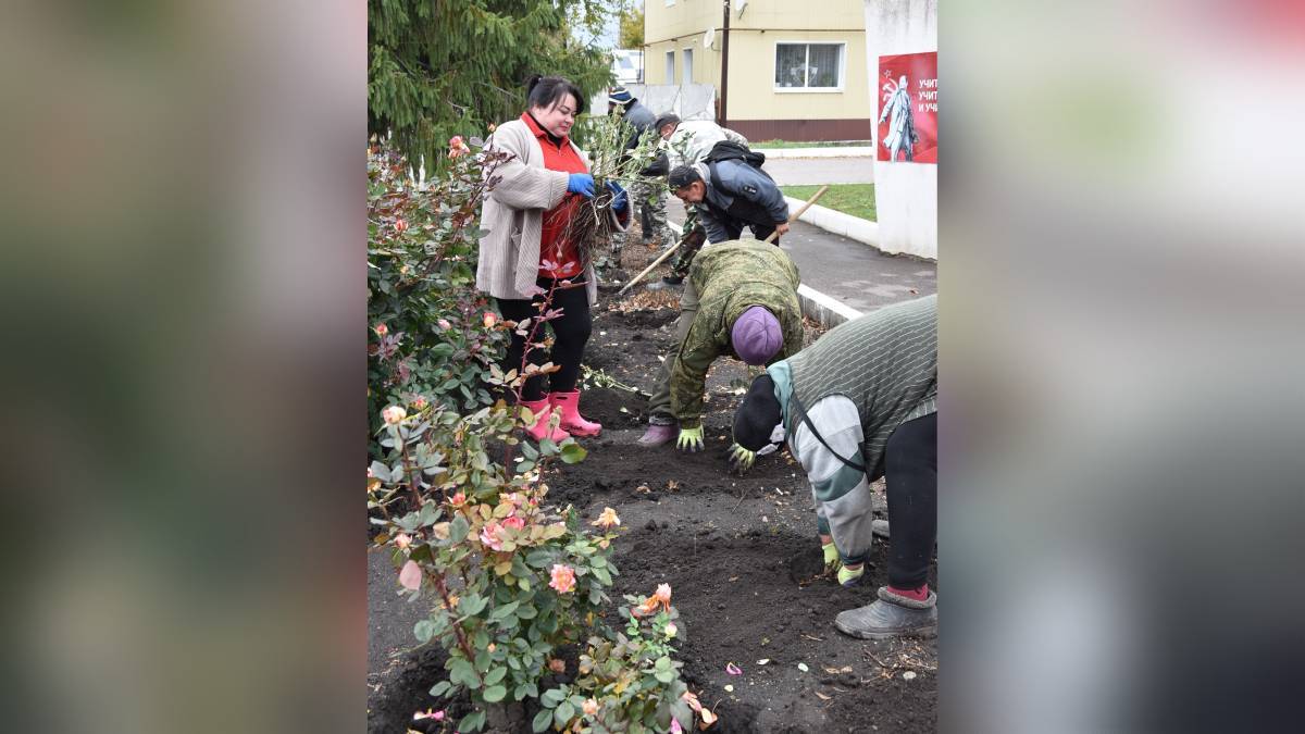 Фото – группа администрации Кантемировского района в соцсети, https://vk.com/kantem_vrn36