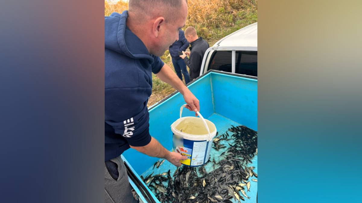 Фото – https://vk.com/bogucharadm   Фото – https://vk.com/bogucharadm