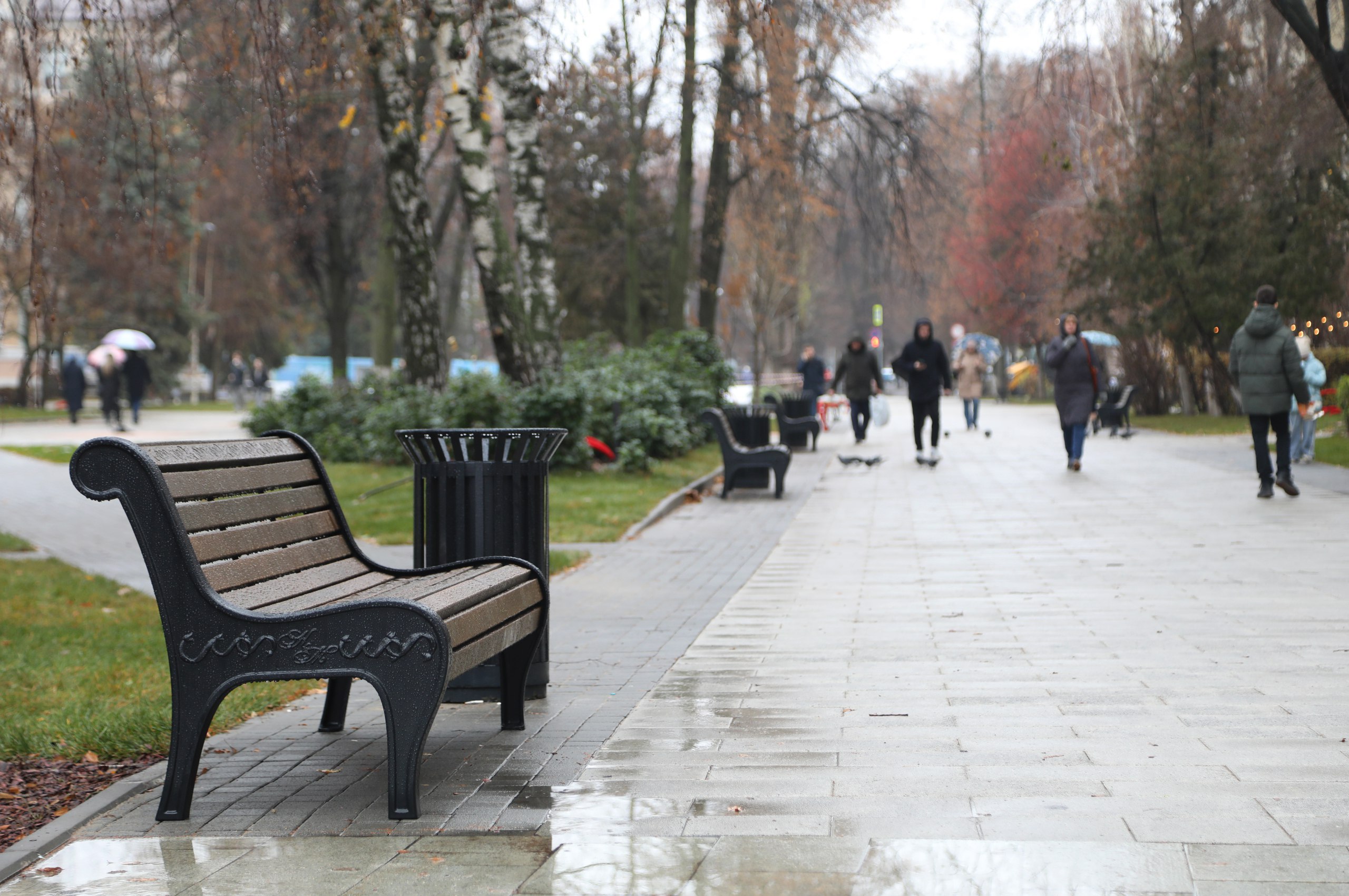 Фото — пресс-служба мэрии Воронежа